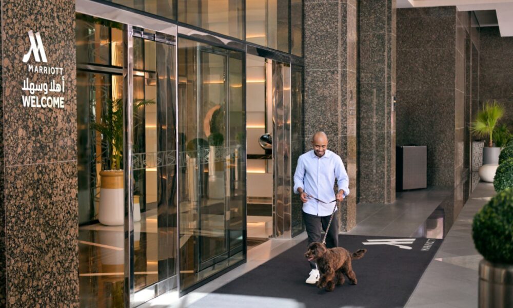 A dog is sitting comfortably on a cushioned outdoor chair next to a small table on a spacious, private hotel terrace overlooking a sea view.