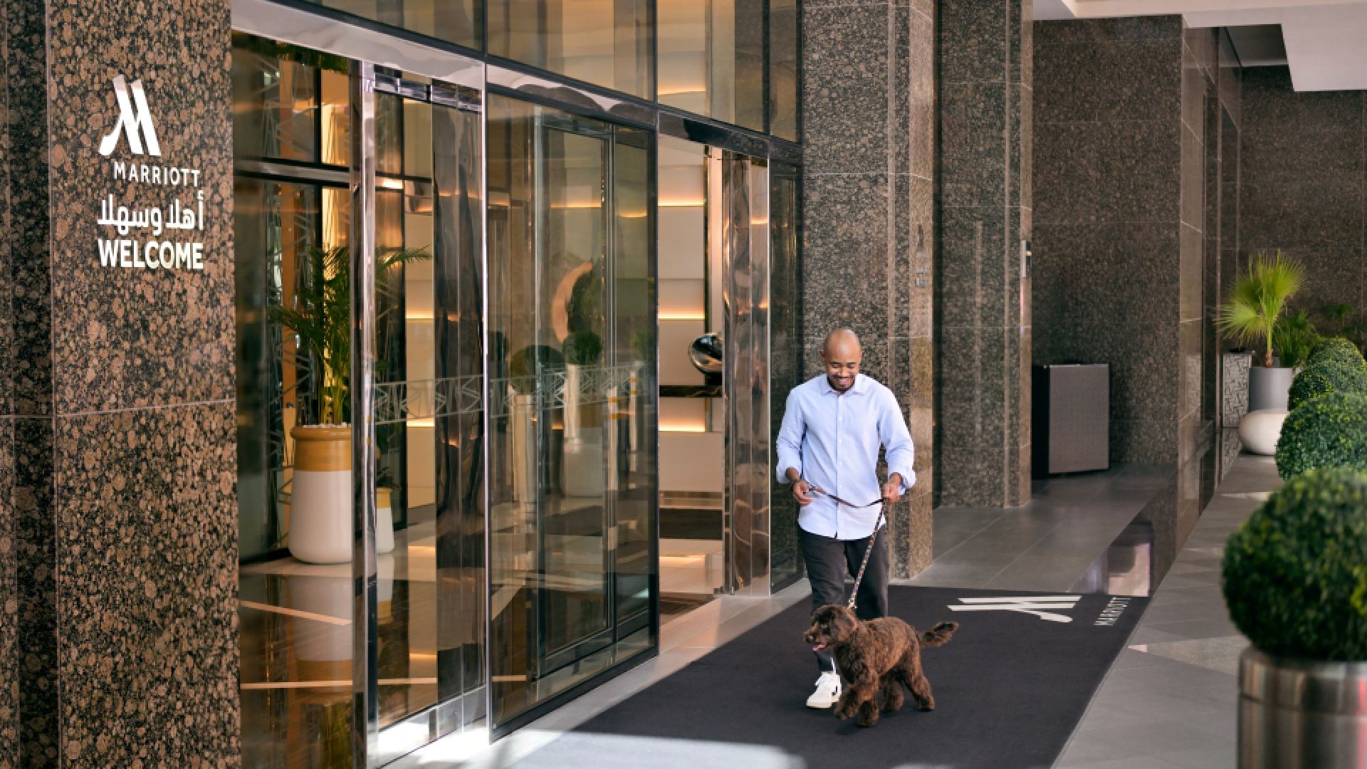 A dog is sitting comfortably on a cushioned outdoor chair next to a small table on a spacious, private hotel terrace overlooking a sea view.