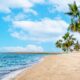 A calm sandy beach at VOCO Dubai Monaco with clear turquoise water, leaning palm trees supported by green braces, and a bright blue sky with scattered white clouds.
