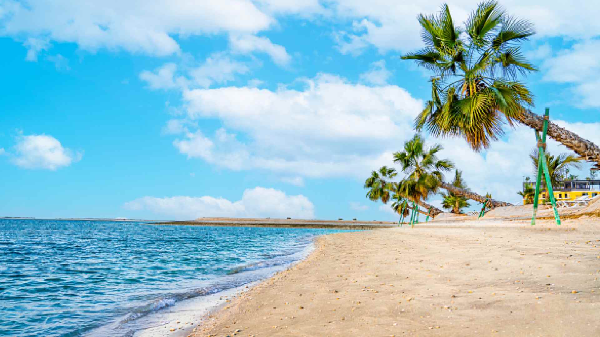 A calm sandy beach at VOCO Dubai Monaco with clear turquoise water, leaning palm trees supported by green braces, and a bright blue sky with scattered white clouds.